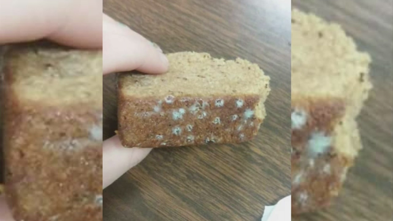 moldy bread